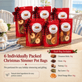 6 Pack Simmer Pot Kit Potpourri with Plaid Bows, Holiday Stovetop ...