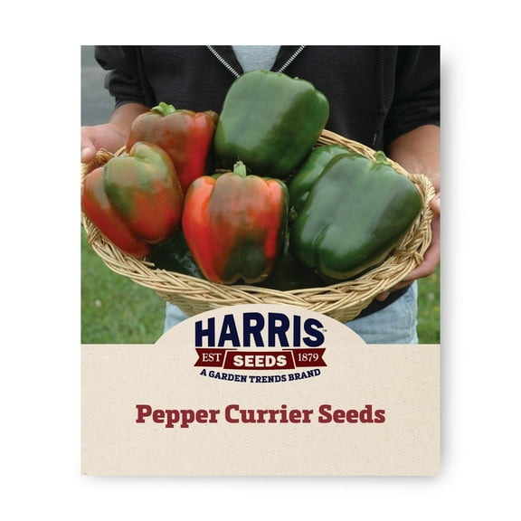 Harris Seeds Pepper Currier F1, Large Blocky Bell Peppers, Treated Variety, 100 Count