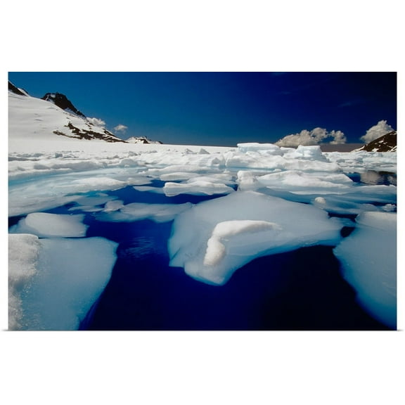 Great BIG Canvas | "Melting Ice" Art Print - 24x16