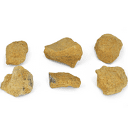 6PK Raw Dolostone, Sedimentary Rocks - Approx. 1" - Geologist Selected & Hand Processed - Great for Science Classrooms - Class Pack - Eisco Labs