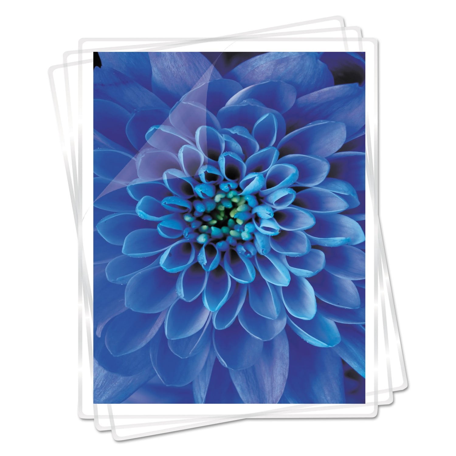 Fellowes Laminating Pouches, 7mil, 11 1/2 x 9, 100/Pack