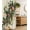 Beige Green and Vermilion, variant on Christmas Stall Shower Curtain, Traditional Xmas Berries Toyon and Globes Ornate on Plain Backdrop, Fabric Bathroom Decor Set with Hooks, 36" W x 72" L, Beige Green and Vermilion