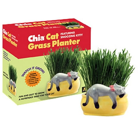 As Seen on TV Chia Cat Grass Snoozing Kitty