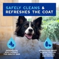 thumbnail image 2 of Leave-on Mousse Douxo Skin & Coat SPA para perros, 300 ml, 2 of 7