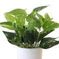 DGROEE Faux Plants Potted, Artificial Plants in Pot Fake Green Plant