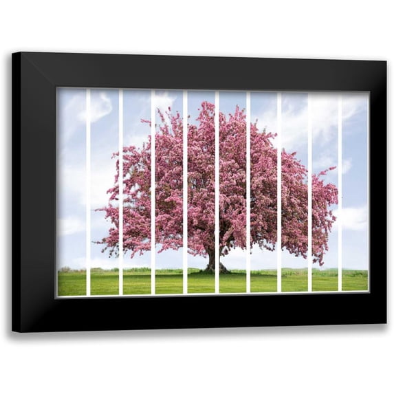 Murdock, Ramona 24x17 Black Modern Framed Museum Art Print Titled - Spring Blossoms