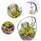 thumbnail image 3 of Cuenco de burbujas inclinado transparente - Pecera y terrario - Tarro de caramelos - Florero redondo (17,5 cm de alto, 14 cm de ancho) Dontodent Kuyhfg Sin marca, 3 of 5