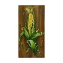 Trademark Fine Art 'Ear Of Corn' Canvas Art by Gigi Begin