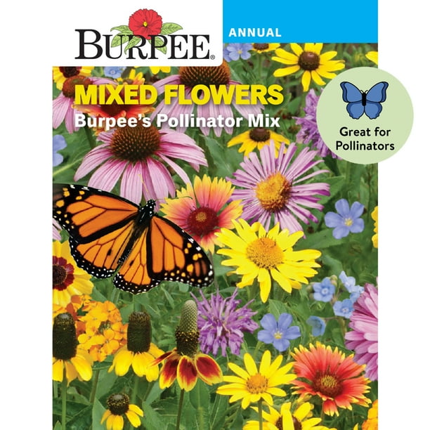 Burpee Burpee's Pollinator Mix Mixed Flower Seed, 1-Pack - Walmart.com