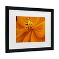 thumbnail image 2 of Trademark Fine Art 'Orange Flower' Canvas Art by Kurt Shaffer, 2 of 4