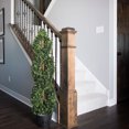 thumbnail image 5 of Vickerman 4' Artificial Green Boxwood Double Spiral Topiary, Black Plastic Pot., 5 of 6