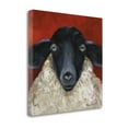 thumbnail image 2 of Lesters Cousin Lonnie By Cheri Wollenberg, 20" x 20" Fine Art Giclee Print on Gallery Wrap Canvas, Ready to Hang, 2 of 2