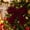 Deep Burgundy Velvet Bow, variant on Festive Velvet Christmas Bow, 2 Pack Soft Velvet Craft Accessory, Holiday Hanging Decor for Tree Wreath Stair Rail and Gift Wrap, Deep Burgundy Velvet Bow