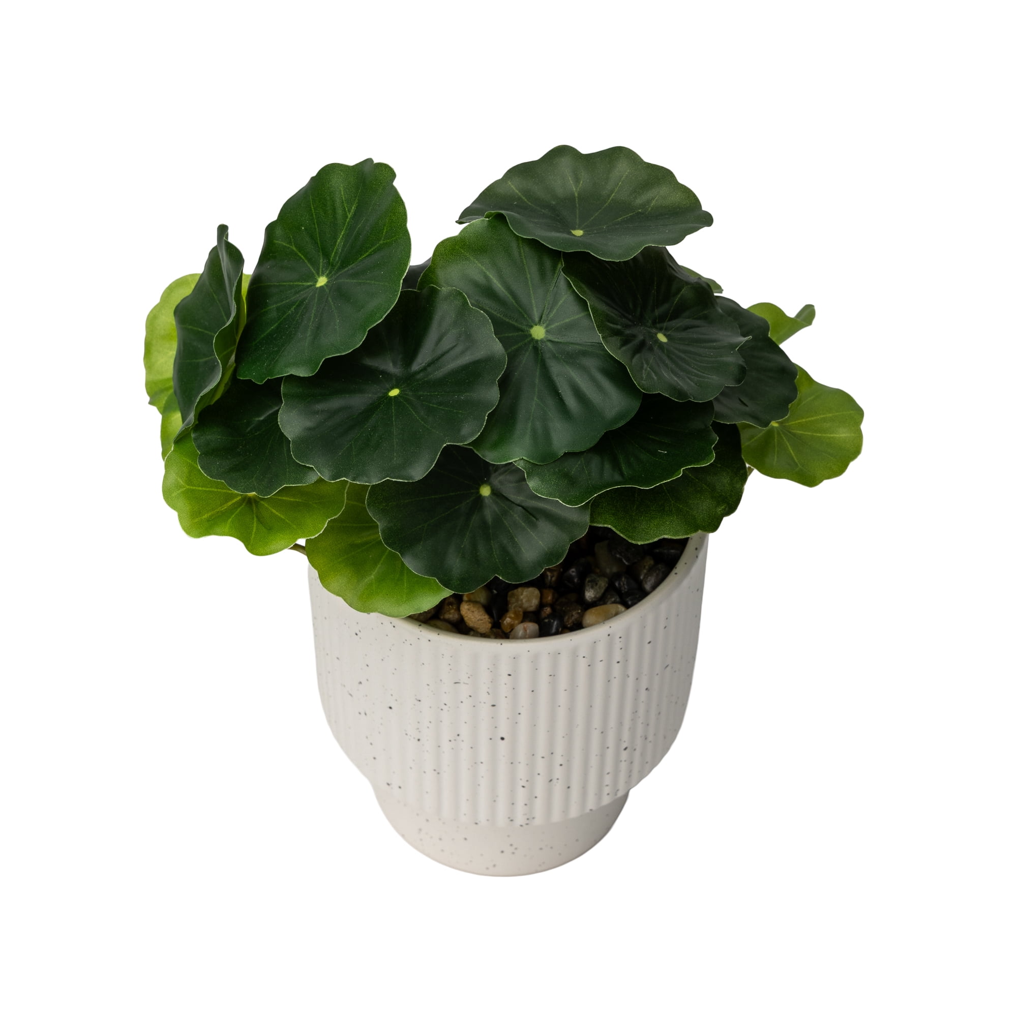 Mainstays Artificial Money Plant in Ribbed Speckled Ceramic Pot, 9.5"