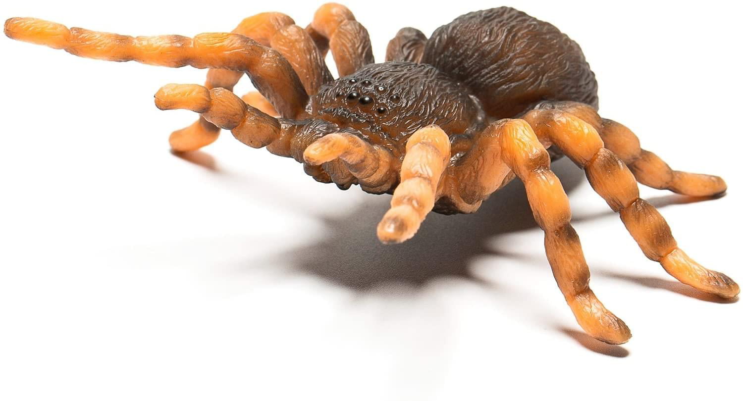 NEW * CollectA RED KNEE TARANTULA solid plastic toy wild zoo animal SPIDER 