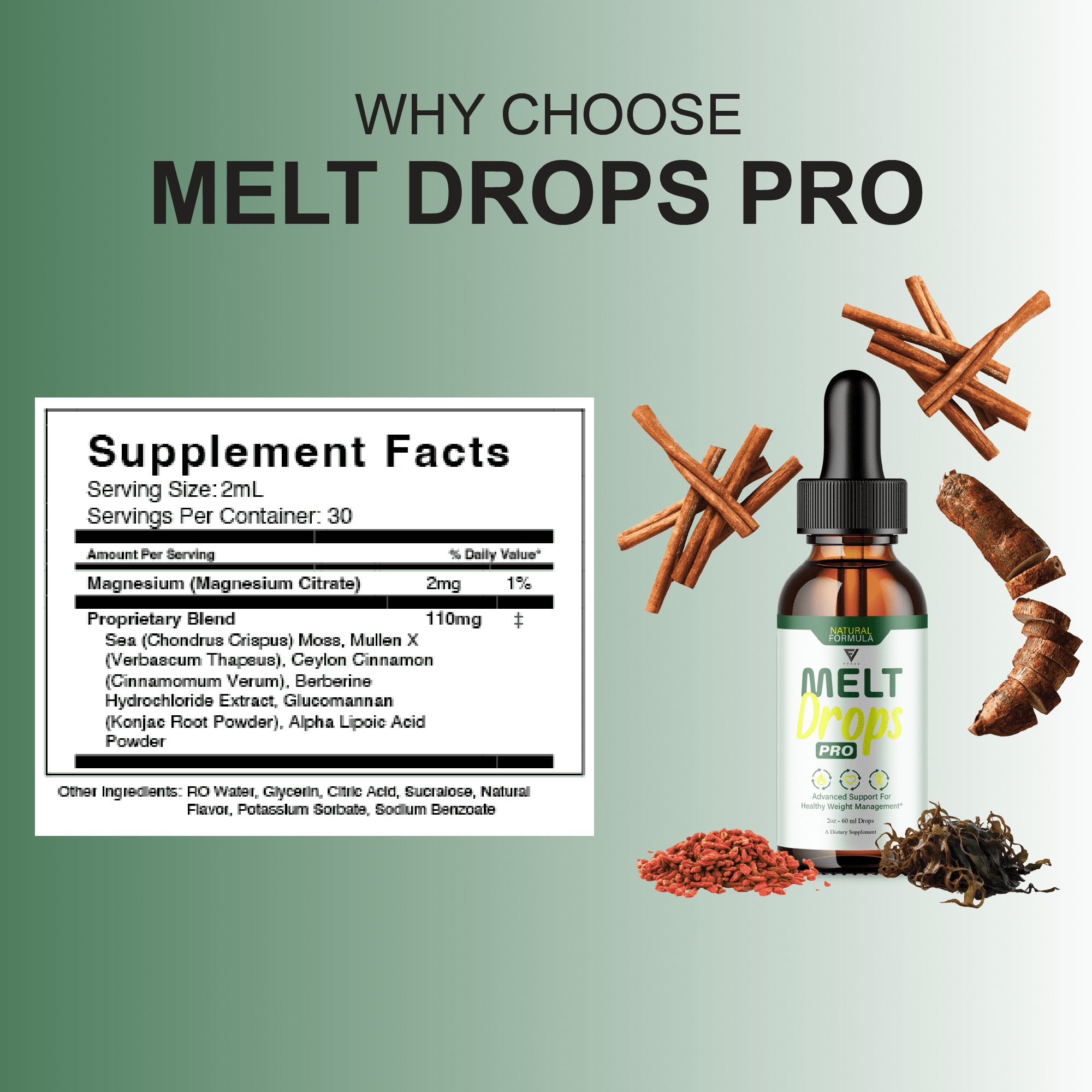Melt Drops Pro Supplement, Melt Drops Pro Weight Management Formula (2oz)