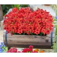thumbnail image 7 of Scidweet 24 Bundles Fake Flowers Outdoor, Artificial Plants Faux Flowers Spring Summer Outside for Home Garden Porch Window Box Decorations, Red, 7 of 7
