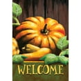 thumbnail image 2 of America Forever Welcome Garden Flag, 12.5 x 18 inch Double Sided, Fall Pumpkin Decor, Autumn Harvest Welcome Flag, Thanksgiving Outdoor Yard Banner, Rustic Farmhouse Decoration, 2 of 5