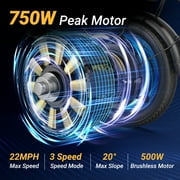 Foldable Electric Bike for Adults and Teens,14 Inch Tire 500W Rear Wheel Drive Motor with 48V 15.6Ah Removable Lithium Battery Two Seats UL2849