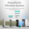 thumbnail image 2 of Coway Airmega 250/250S Air Purifier Replacement Filter Set, Max 2 Green True HEPA and Active Carbon Filter, AP-1720-FP, 2 of 2