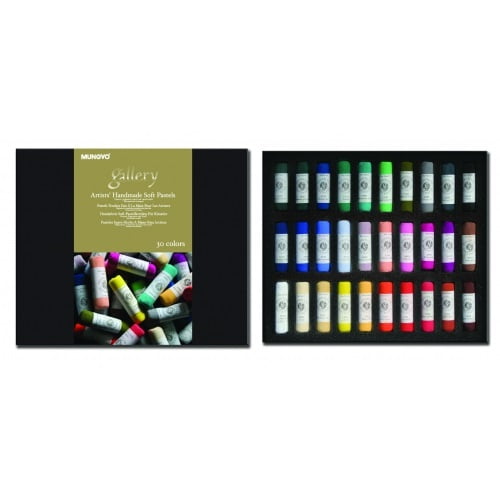 MUNGYO Gallery Artists' Extra Fine Soft Pastel 30 Colors for Professional  Artist