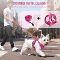 thumbnail image 6 of PayUSD Dog Harness with Leash Cat Harness No Pull Adjustable No Choke Pet Vest for Small Dogs Cats, 6 of 9