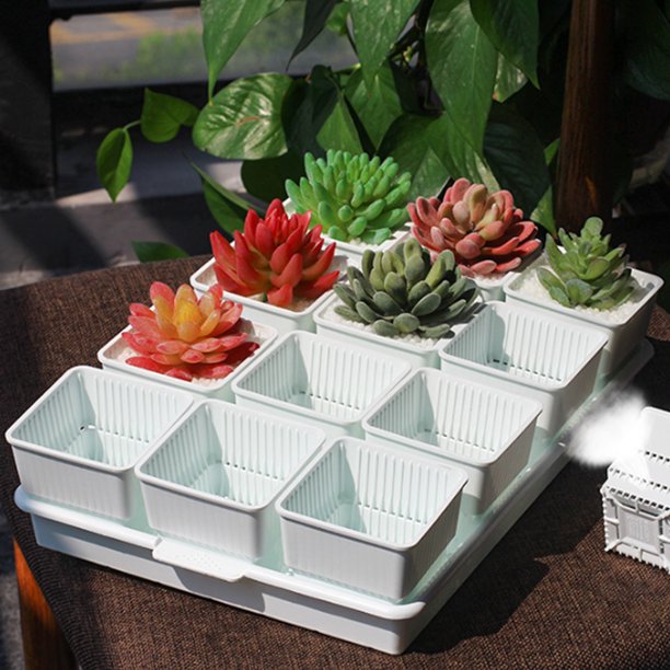 Dream Lifestyle Succulent Pots, Succulent Planters with Tray Plastic