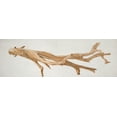 thumbnail image 2 of Atelier B Art Studio 32x13 White Modern Wood Framed Museum Art Print Titled - FLOATED WOOD, 2 of 4