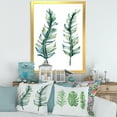 thumbnail image 3 of Designart 'Duo of Tropical Leaves On White' Farmhouse Framed Art Print, 3 of 4