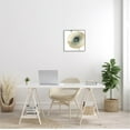 thumbnail image 2 of Stupell Industries Contemporary Flower Petal Poppy Blossom Graphic Art Gray Framed Art Print Wall Art, Design by Carol Robinson, 2 of 7