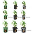 thumbnail image 3 of Amdohai 7 Gallon Potato Grow Bags Planter Box Vegetable Grow Bag, 3 of 7