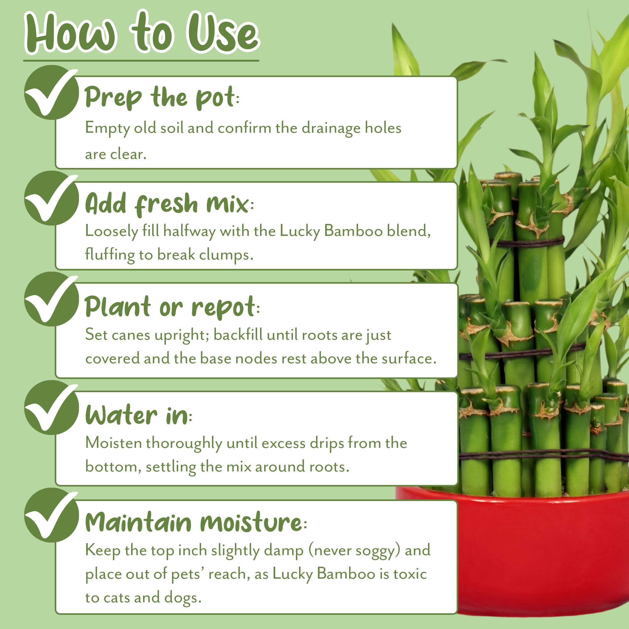 Soil Sunrise Lucky Bamboo Indoor Potting Mix, Well-Draining Custom Soil for  Repotting (4 Quarts) - Walmart.com