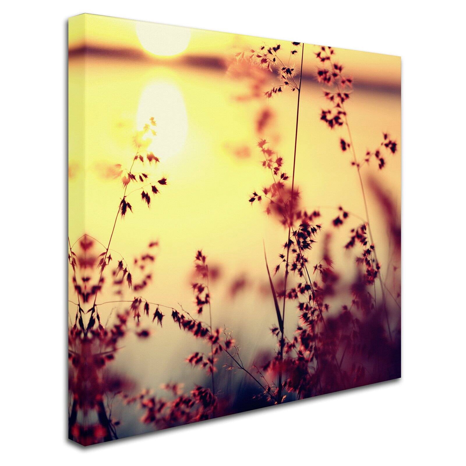 Trademark Fine Art "At the End of the Day" Canvas Art by Beata Czyzowska Young