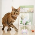 Pet Supplies Automatic Cat Teasing Stick Feather Self Entertainment And