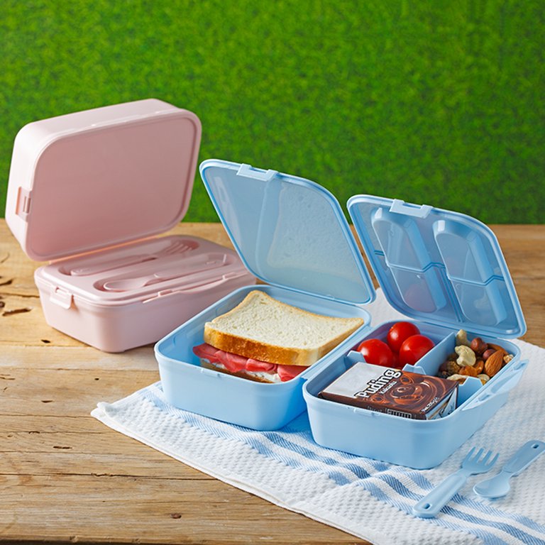 Bento Lunch Box - BPA Free – KLYKI Co