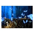 thumbnail image 1 of Pintura de diamante (DE2536) mariposas punto de cruz bordado artesanía decoración del hogar 45x60cm Hugtrwg Para estrenar, 1 of 1