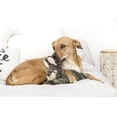 thumbnail image 2 of Fluff & Tuff - Jouet pour Chien en Peluche Walter Wabbit, 2 of 2
