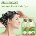 Natural Plant Hair Dye, 2024 New Botanical Bubble Hair Dye, Lazy Pure