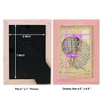 thumbnail image 4 of Seashell Ephemera V - Framed Print w/glass - Sunset Pink, 4 of 8