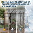 thumbnail image 5 of 6x8 FT Walk-in Wooden Greenhouse – Heavy-Duty Cedar Frame, 6mm Polycarbonate Panels, Ventilated Window, Lockable Door, Outdoor Greenhouse for Backyard & Patio, 5 of 7