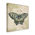 thumbnail image 2 of Trademark Fine Art 'Butterfly Daydreams 4' Canvas Art by Jean Plout, 2 of 3