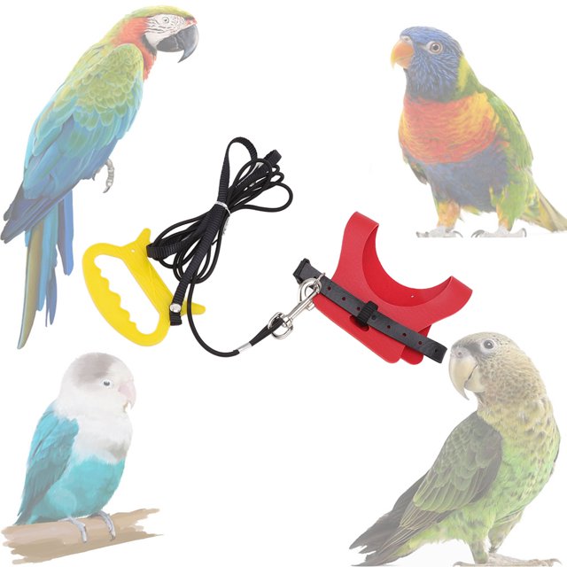 Correas de correa voladora Arnés para pájaros Elástico Fácil de usar ANGGREK Otros