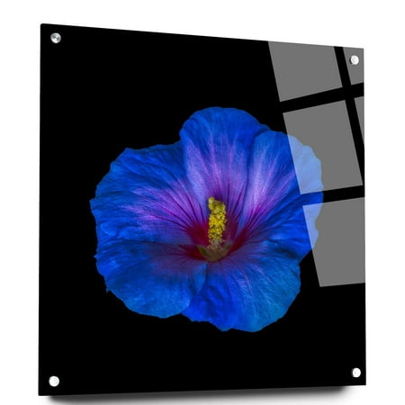 

Flowers & Plants | Tempered Acrylic Glass Wall Decor | Art Decoration for Home or Office | Housewarming Gift | Vibrant Colors | Wall Hanging | Home Interior Design