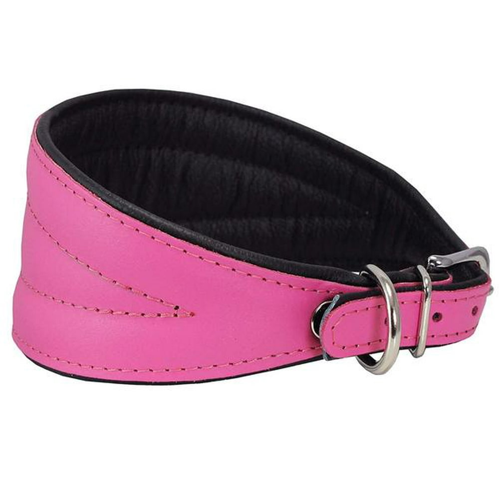 Dogs My Love Real Leather Extra Wide Padded Tapered Dog Collar (10"11.