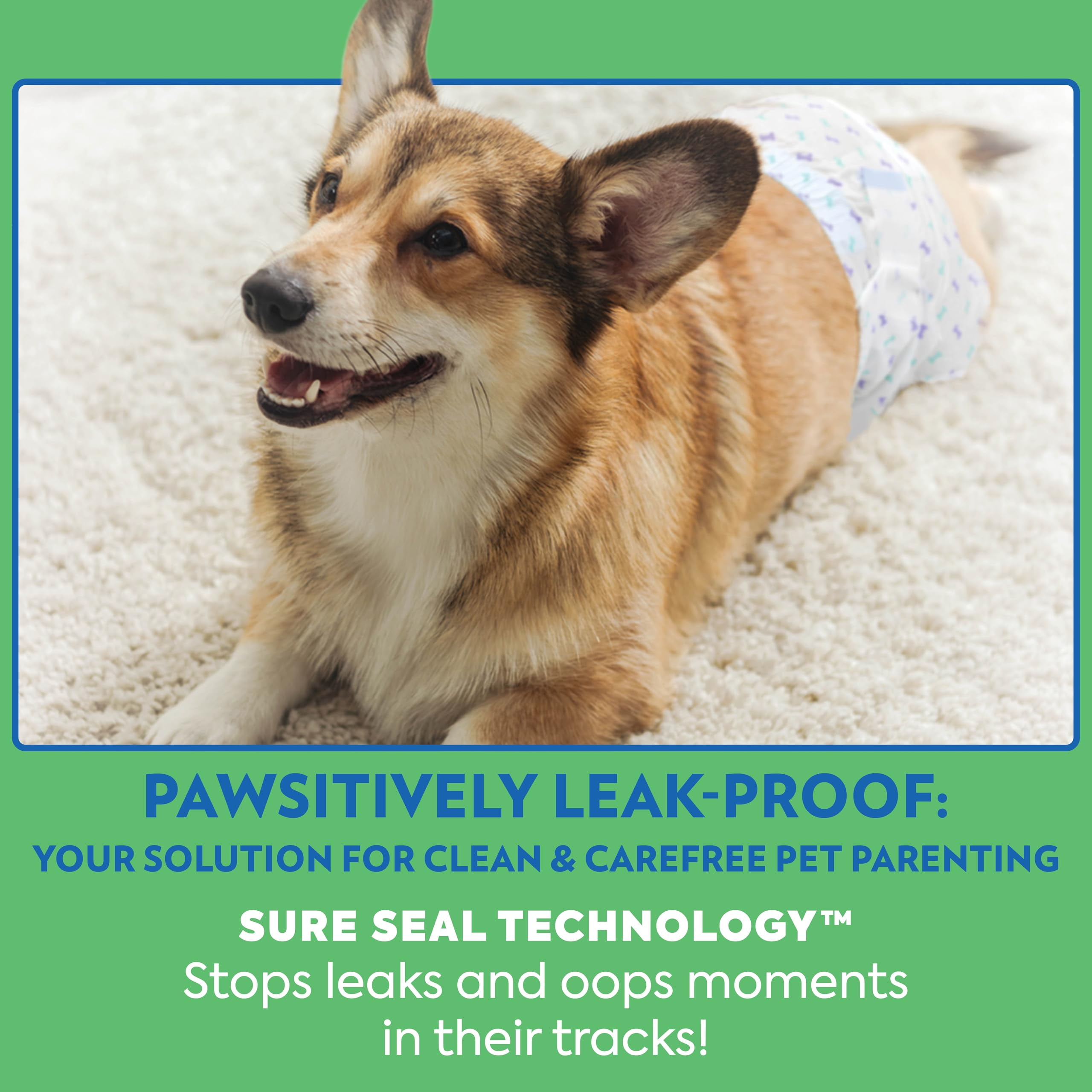 OUT! PetCare Disposable Male Dog Wraps, Safe, Male Wraps for Dogs, Pee Wraps Belly Bands for Male Dogs, Leak Proof, Wetness Indicator, Puppy and Doggie Diaper for Peeing, M/L, 96 Ct S301