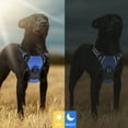 thumbnail image 5 of No Pull Dog Harness, Adjustable Dog Walking Harness with Breathable Padded Vest, Reflective Safe Comfort Pet Vest with Easy Control Handle for Small Medium Large Dogs,Blue/S, 5 of 9
