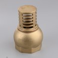 thumbnail image 2 of AMLESO Valve de Pied en Laiton Robuste Femelle Filetée pour Pompe à Eau DN50, 2 of 8