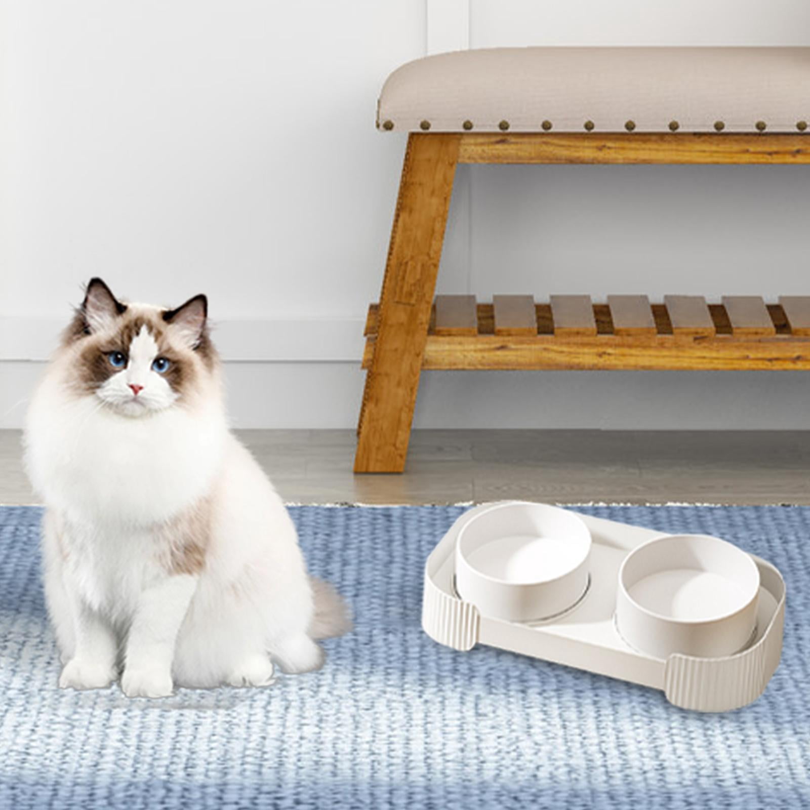 Fzaqwen Ceramic Elevated Cat Bowls Double Cat Food and Water Bowl Dishes for Indoor Cats white