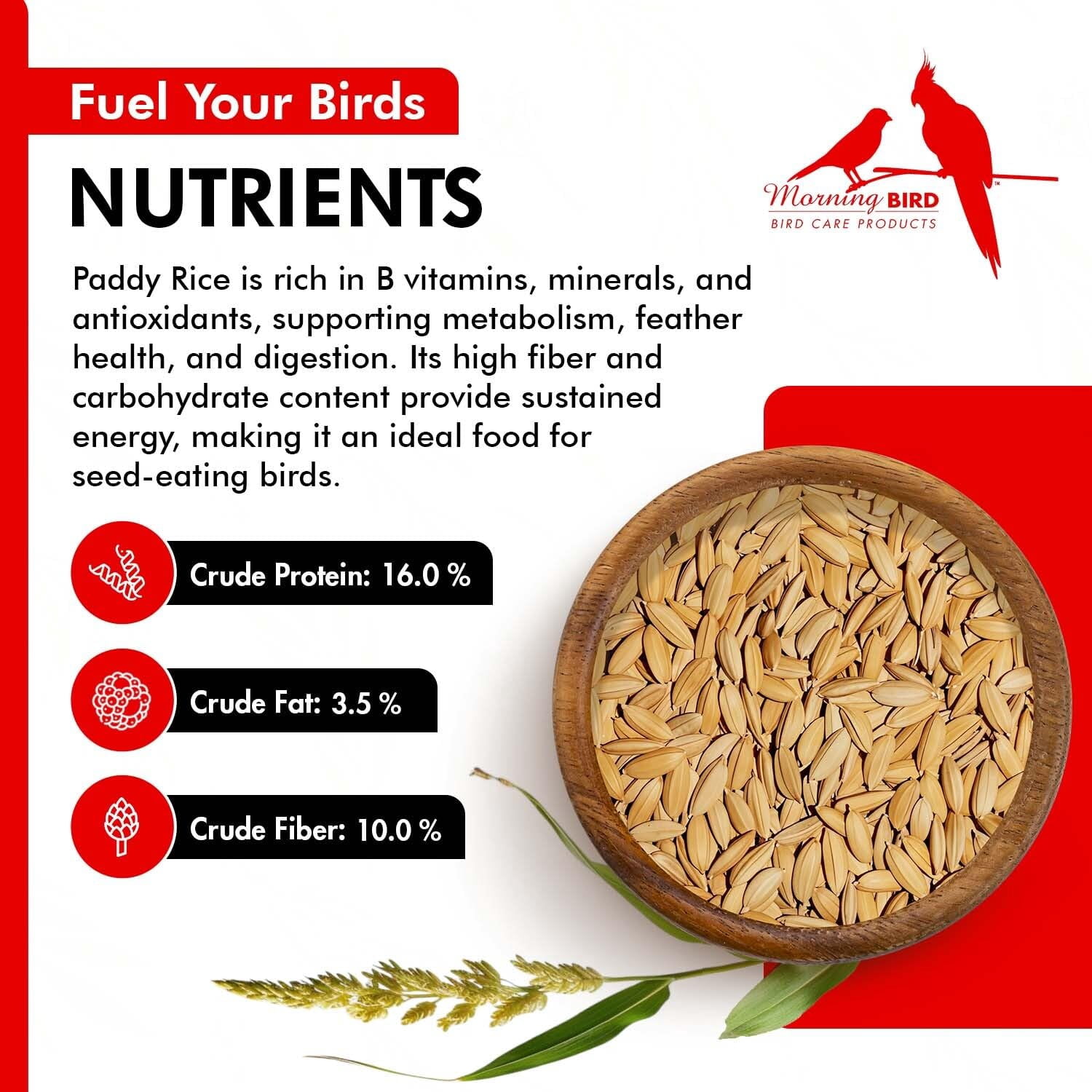 Morning Bird Paddy Rice 18 lbs (2-Pack, 9 lbs Each) – High-Quality Bird Seed for Optimal Health & Nutritious Pet Bird Food – Supports Feathers & Immunity – Ideal for all Seed Eating Birds