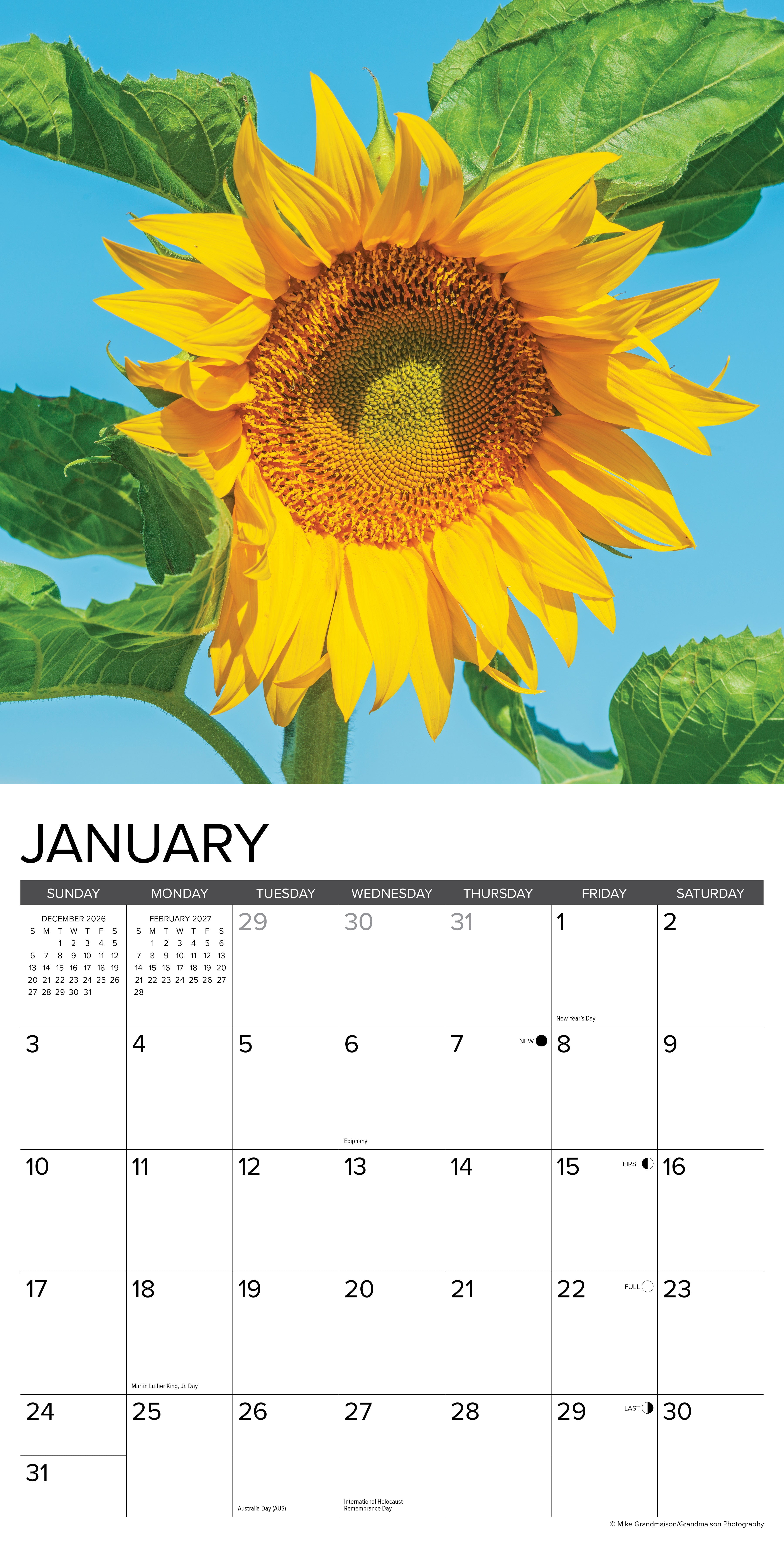 Willow Creek Press, Sunflowers 2027 Wall Calendar